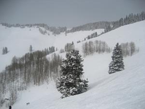 Click to view album: Vail and Beaver Creek 2011