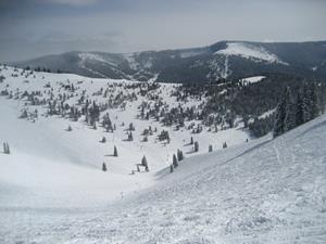 Click to view album: Vail and Beaver Creek 2011